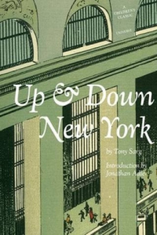 Libro Up and Down New York Tony Sarq