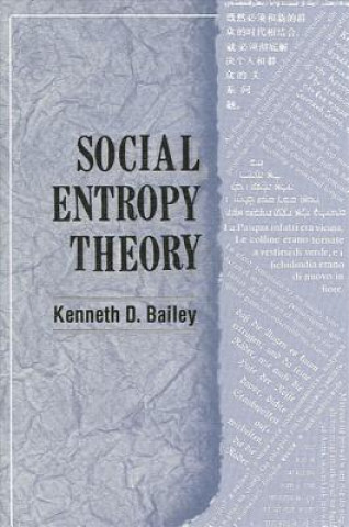 Book Social Entropy Theory Kenneth D. Bailey