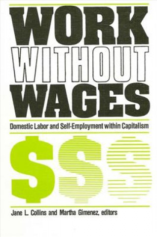 Kniha Work without Wages Jane L. Collins