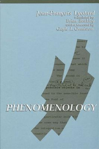Kniha Phenomenology Jean-Francois Lyotard