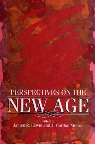 Knjiga Perspectives on the New Age James R. Lewis