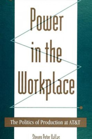 Książka Power in the Workplace Steven Vallas