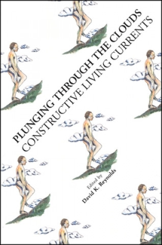 Book Plunging Through the Clouds David K. Reynolds