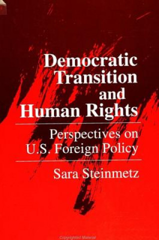 Kniha Democratic Transition and Human Rights Sara Steinmetz