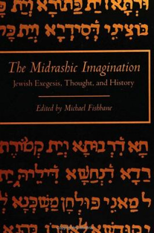 Knjiga Midrashic Imagination Michael Fishbane