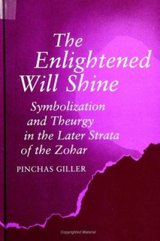 Könyv Enlightened Will Shine Pinchas Giller