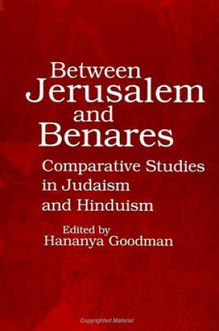 Libro Between Jerusalem and Benares Hananya Goodman
