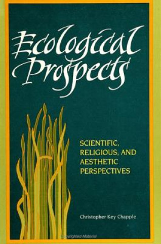 Kniha Ecological Prospects Christopher Key Chapple
