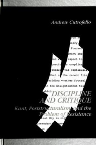 Книга Discipline and Critique Andrew Cutrofello