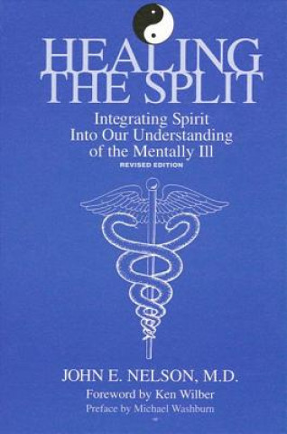 Kniha Healing the Split John E. Nelson