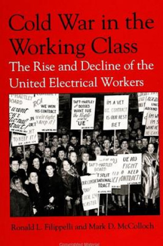 Kniha Cold War in the Working Class Ronald L. Filippelli