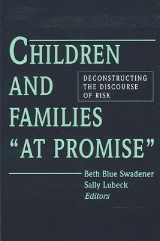 Kniha Children and Families at Promise Beth Blue Swadener
