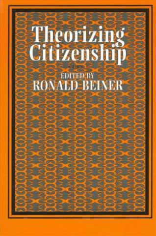 Книга Theorizing Citizenship 