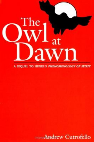 Kniha Owl at Dawn Andrew Cutrofello