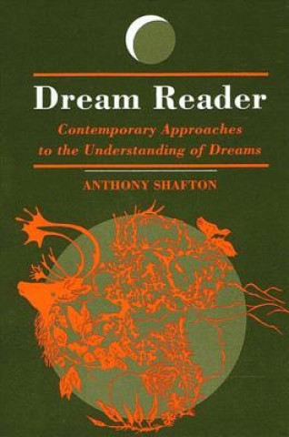 Buch Dream Reader Anthony Shafton