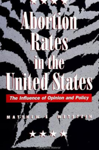 Kniha Abortion Rates in the United States Matthew E. Wetstein
