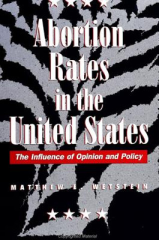 Książka Abortion Rates in the United States Matthew E. Wetstein