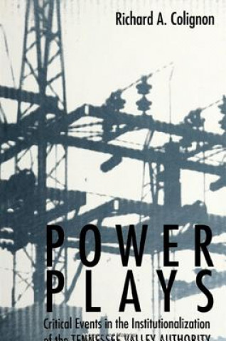 Könyv Power Plays Richard A. Colignon