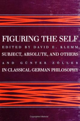 Kniha Figuring the Self David E. Klemm