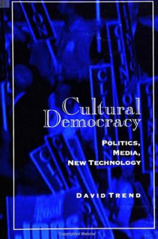 Livre Cultural Democracy David Trend