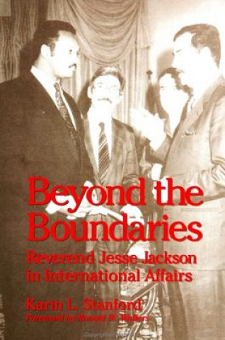 Knjiga Beyond the Boundaries Karin L. Stanford