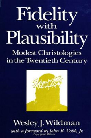 Книга Fidelity with Plausibility Wesley J. Wildman