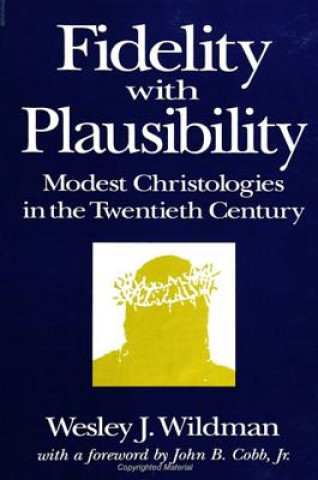 Book Fidelity with Plausibility Wesley J. Wildman