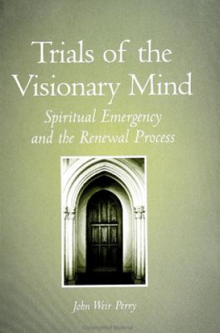 Kniha Trials of the Visionary Mind John Weir Perry