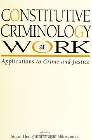 Kniha Constitutive Criminology at Work Stuart Henry