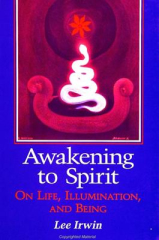 Kniha Awakening to Spirit Irwin Lee