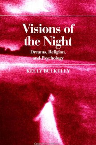 Buch Visions of the Night Kelly Bulkeley