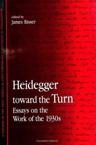 Kniha Heidegger toward the Turn James Risser