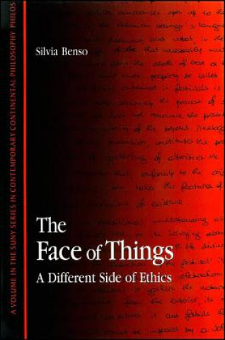 Buch Face of Things Silvia Benso