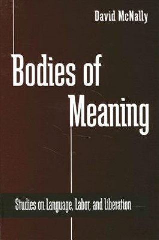 Kniha Bodies of Meaning David McNally