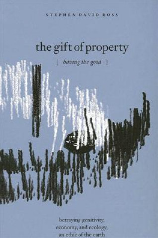 Knjiga Gift of Property Stephen David Ross