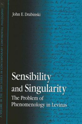 Kniha Sensibility and Singularity John E. Drabinski