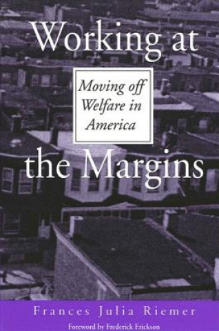 Buch Working at the Margins Frances J. Riemer