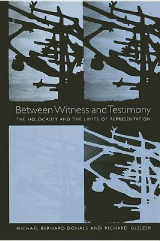 Könyv Between Witness and Testimony Michael Bernard-Donals