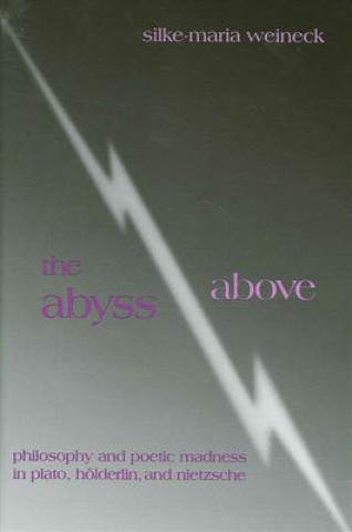 Könyv Abyss above Silke-Maria Weineck