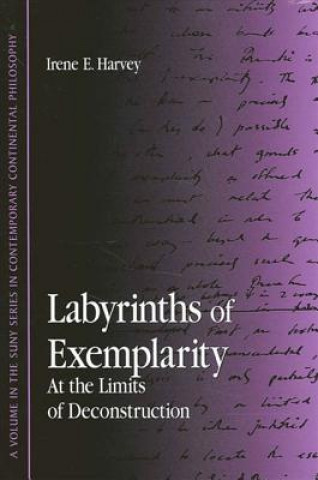 Βιβλίο Labyrinths of Exemplarity Irene E Harvey