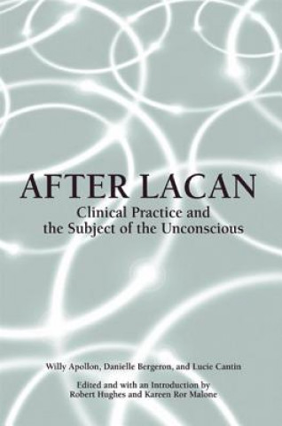 Buch After Lacan Willy Apollon