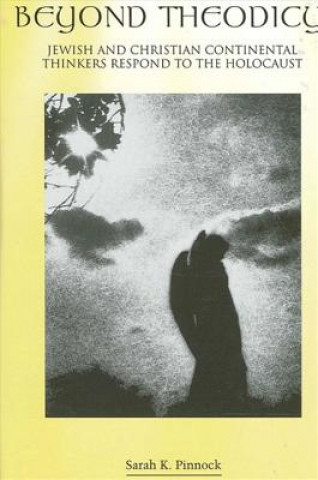 Knjiga Beyond Theodicy Sarah Katherine Pinnock