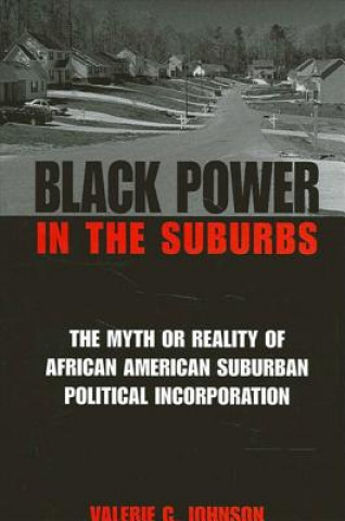 Kniha Black Power in the Suburbs Valerie C. Johnson