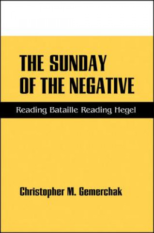 Book Sunday of the Negative Christopher M. Gemerchak