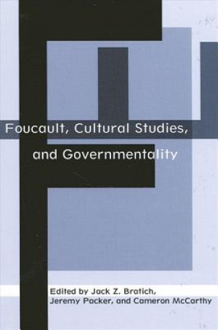 Könyv Foucault, Cultural Studies, and Governmentality Jack Z. Bratich