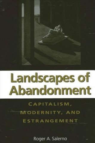 Buch Landscapes of Abandonment Roger A. Salerno