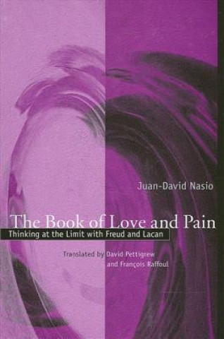 Książka Book of Love and Pain Juan-David Nasio