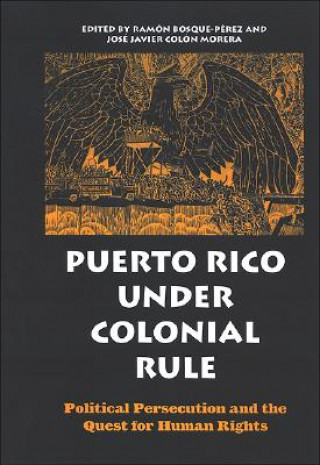 Könyv Puerto Rico Under Colonial Rule Ramon Bosque-Perez