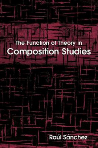 Kniha Function of Theory in Composition Studies Raul Sanchez