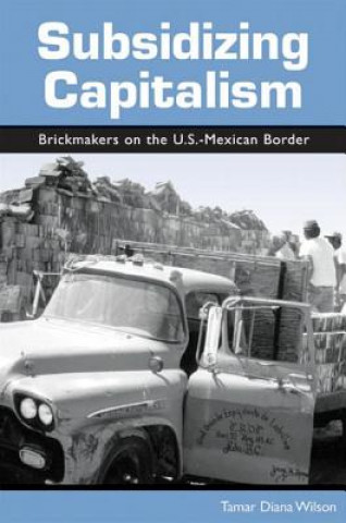 Boek Subsidizing Capitalism Tamer Diana Wilson